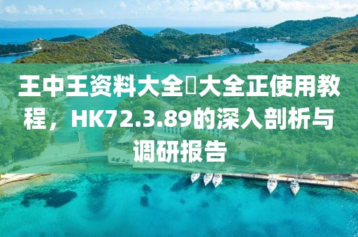王中王资料大全枓大全正使用教程，HK72.3.89的深入剖析与调研报告