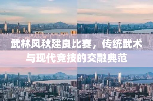 武林风秋建良比赛，传统武术与现代竞技的交融典范