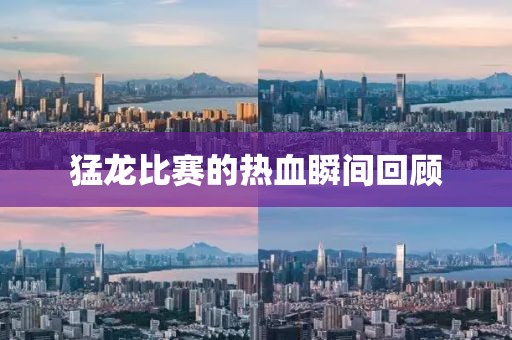 猛龙比赛的热血瞬间回顾