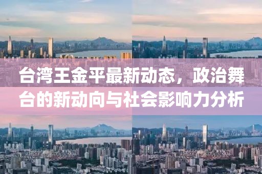 台湾王金平最新动态，政治舞台的新动向与社会影响力分析