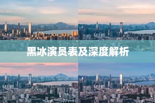 黑冰演员表及深度解析
