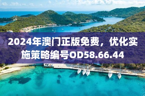 2024年澳门正版免费，优化实施策略编号OD58.66.44