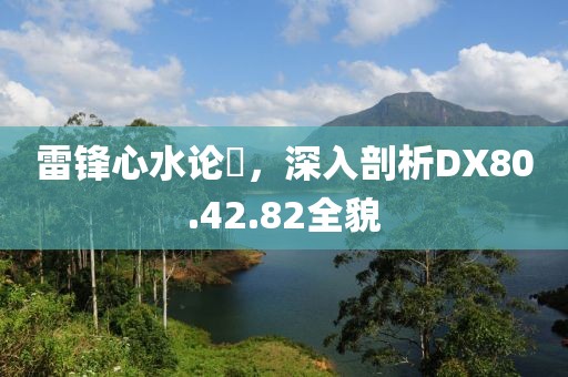雷锋心水论枟，深入剖析DX80.42.82全貌