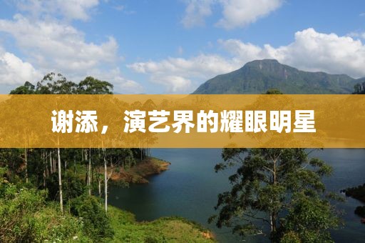 谢添，演艺界的耀眼明星