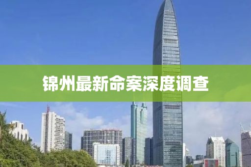 锦州最新命案深度调查