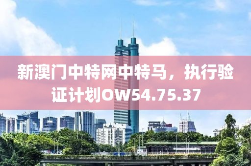 新澳门中特网中特马，执行验证计划OW54.75.37