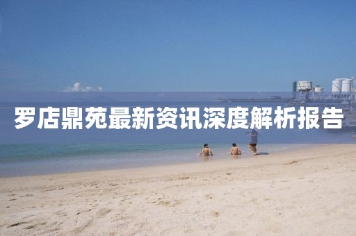 罗店鼎苑最新资讯深度解析报告