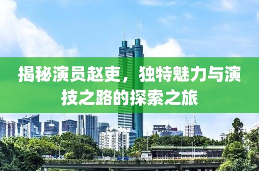 揭秘演员赵吏，独特魅力与演技之路的探索之旅