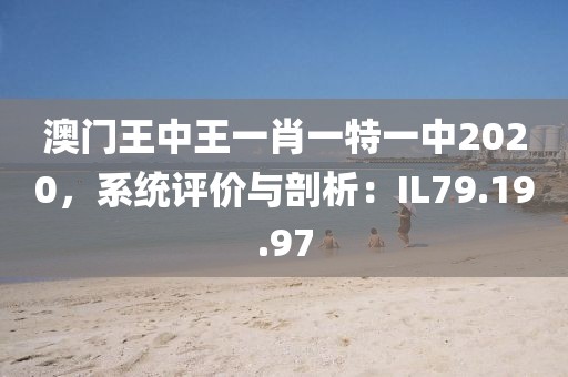 初心 第2页
