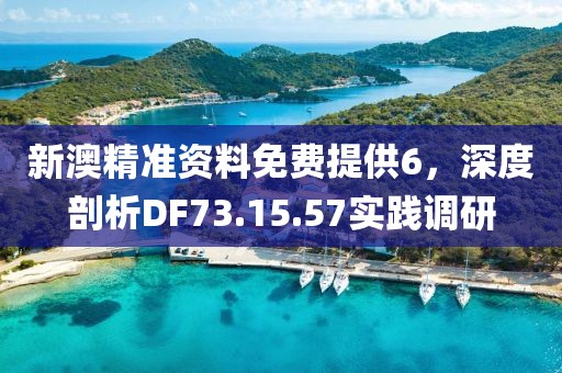 新澳精准资料免费提供6，深度剖析DF73.15.57实践调研