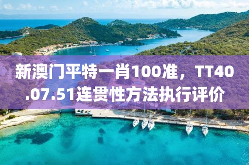 新澳门平特一肖100准，TT40.07.51连贯性方法执行评价