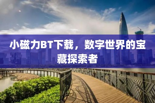 小磁力BT下载，数字世界的宝藏探索者