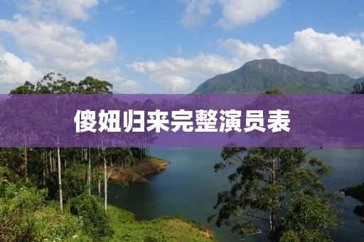 傻妞归来完整演员表