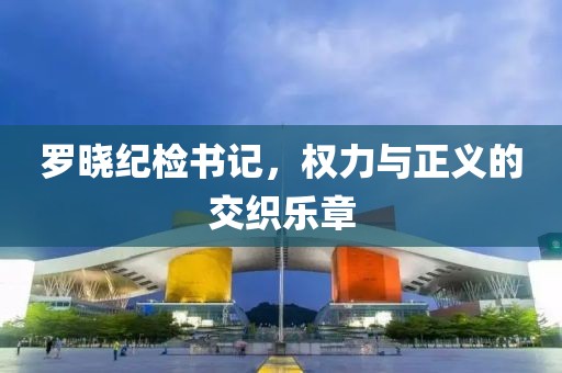 罗晓纪检书记，权力与正义的交织乐章