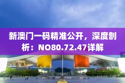 新澳门一码精准公开，深度剖析：NO80.72.47详解