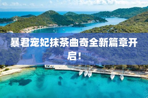 暴君宠妃抹茶曲奇全新篇章开启！