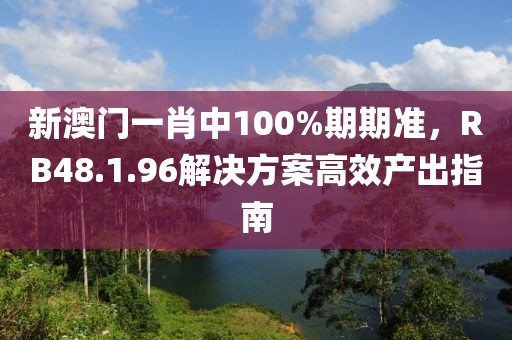 新澳门一肖中100%期期准，RB48.1.96解决方案高效产出指南