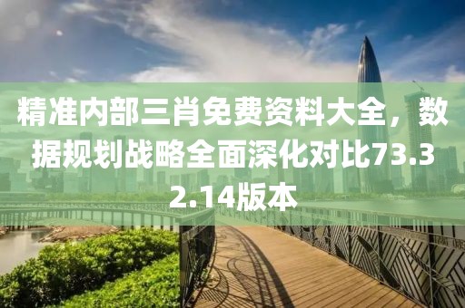 精准内部三肖免费资料大全，数据规划战略全面深化对比73.32.14版本