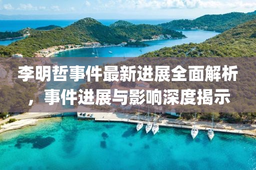 李明哲事件最新进展全面解析，事件进展与影响深度揭示