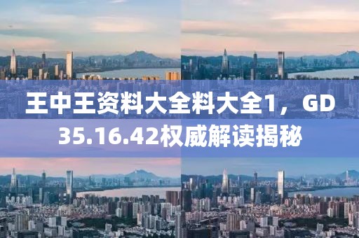 王中王资料大全料大全1，GD35.16.42权威解读揭秘
