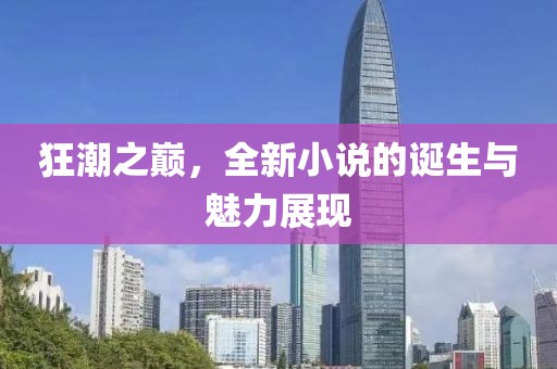 狂潮之巅，全新小说的诞生与魅力展现