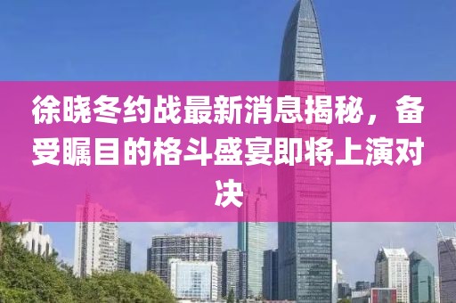 徐晓冬约战最新消息揭秘，备受瞩目的格斗盛宴即将上演对决