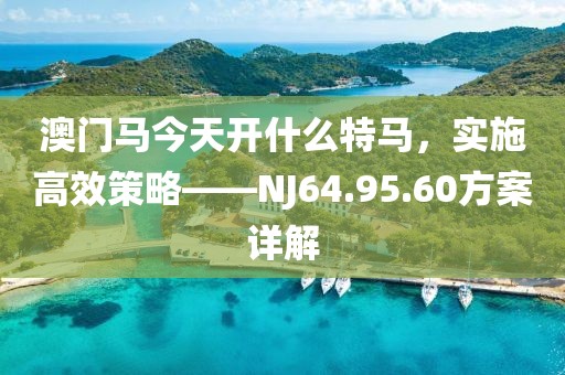 澳门马今天开什么特马，实施高效策略——NJ64.95.60方案详解