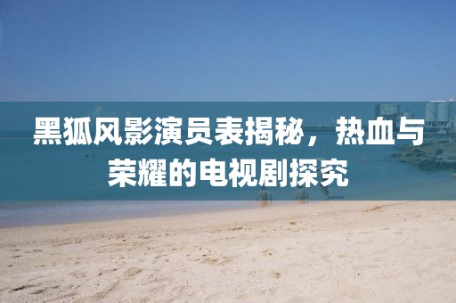 黑狐风影演员表揭秘，热血与荣耀的电视剧探究