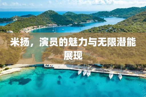 米扬，演员的魅力与无限潜能展现