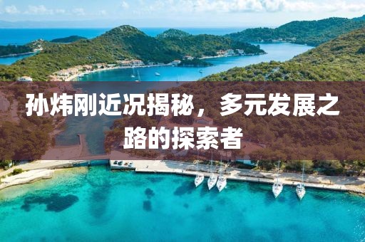 孙炜刚近况揭秘，多元发展之路的探索者