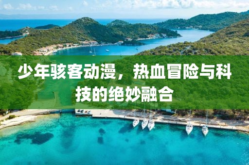 少年骇客动漫，热血冒险与科技的绝妙融合