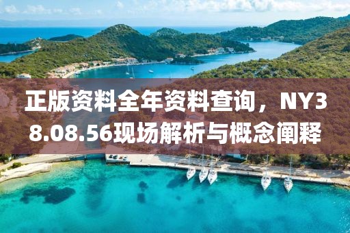 正版资料全年资料查询，NY38.08.56现场解析与概念阐释