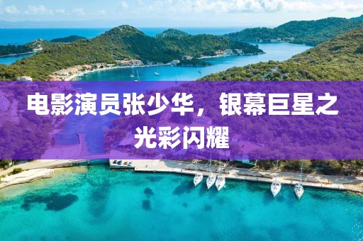 电影演员张少华，银幕巨星之光彩闪耀