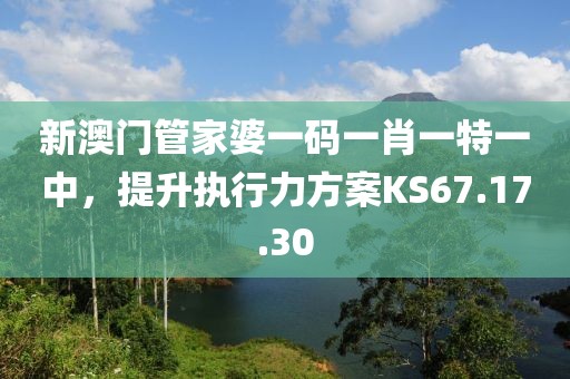 新澳门管家婆一码一肖一特一中，提升执行力方案KS67.17.30
