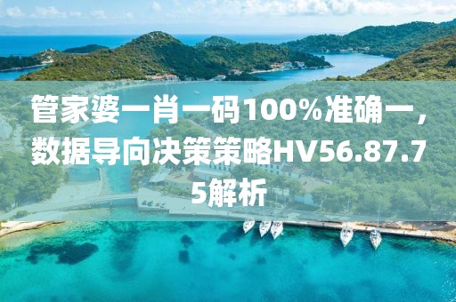 管家婆一肖一码100%准确一，数据导向决策策略HV56.87.75解析