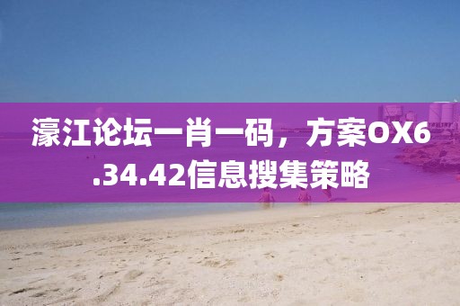 濠江论坛一肖一码，方案OX6.34.42信息搜集策略