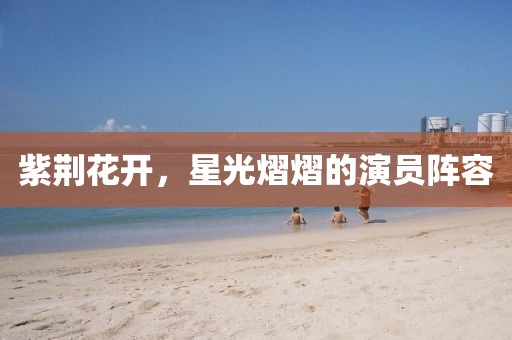 紫荆花开，星光熠熠的演员阵容