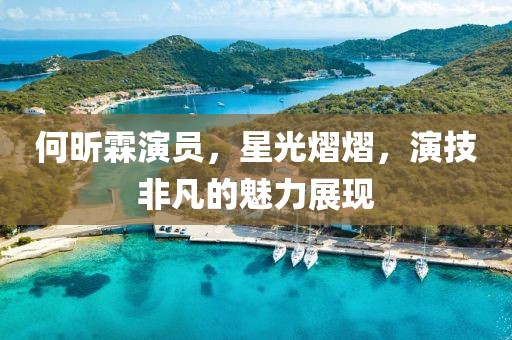 何昕霖演员，星光熠熠，演技非凡的魅力展现
