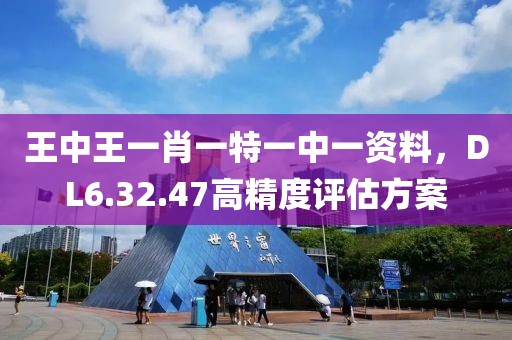 王中王一肖一特一中一资料，DL6.32.47高精度评估方案