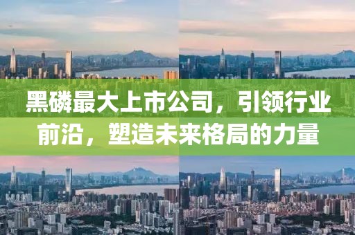 黑磷最大上市公司，引领行业前沿，塑造未来格局的力量