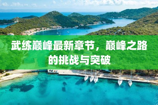 武练巅峰最新章节，巅峰之路的挑战与突破