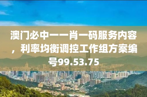 澳门必中一一肖一码服务内容，利率均衡调控工作组方案编号99.53.75