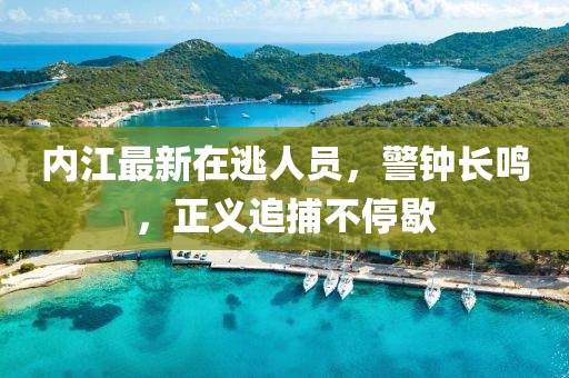 内江最新在逃人员，警钟长鸣，正义追捕不停歇