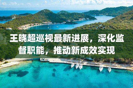 王晓超巡视最新进展，深化监督职能，推动新成效实现