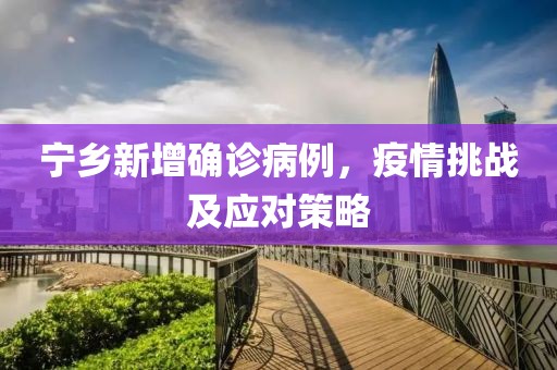 宁乡新增确诊病例，疫情挑战及应对策略