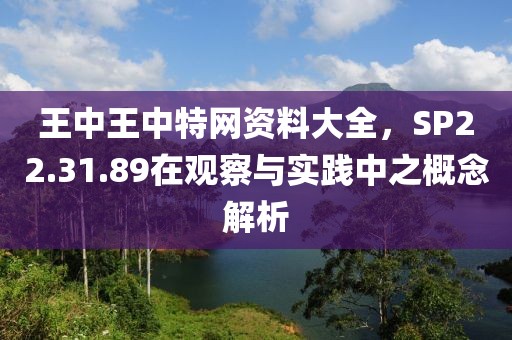 王中王中特网资料大全，SP22.31.89在观察与实践中之概念解析