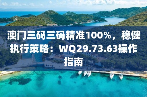 澳门三码三码精准100%，稳健执行策略：WQ29.73.63操作指南