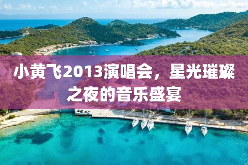 小黄飞2013演唱会，星光璀璨之夜的音乐盛宴