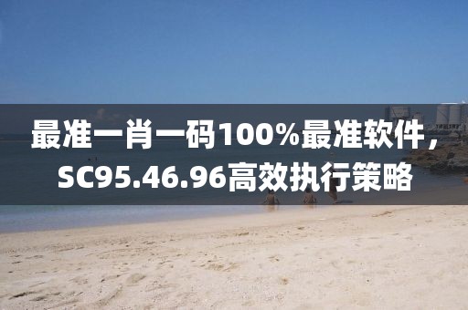 最准一肖一码100%最准软件，SC95.46.96高效执行策略
