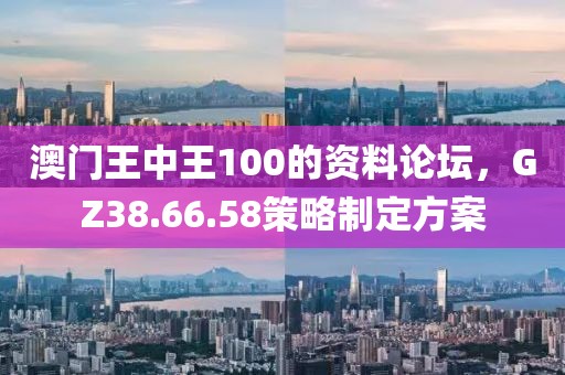 澳门王中王100的资料论坛，GZ38.66.58策略制定方案